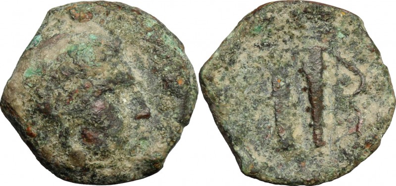 Greek Italy. Southern Apulia, "Hydruntum". AE 14 mm. 3rd century BC. D/ Head of ...