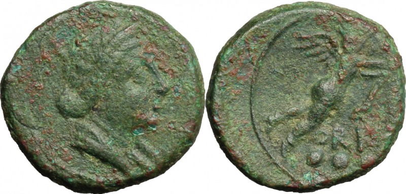 Greek Italy. Southern Apulia, Hyria or Orra. AE Teruncius, c. 210-150 BC. D/ Dra...