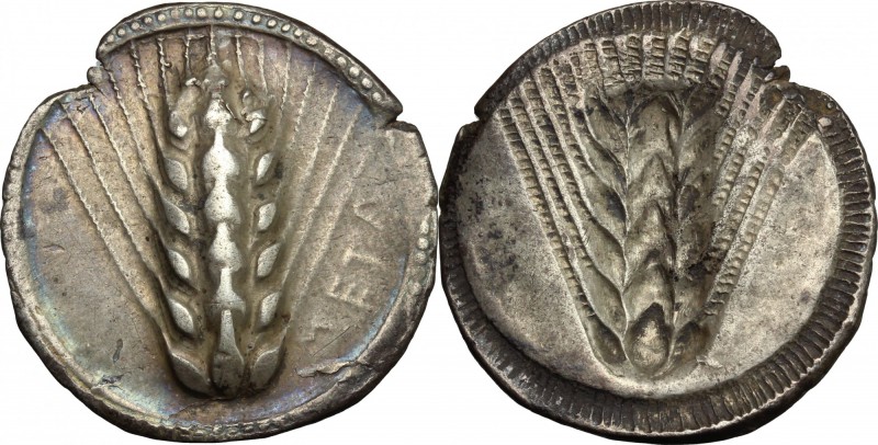 Greek Italy. Southern Lucania, Metapontum. AR Nomos, c. 510-470 BC. D/ Ear of ba...