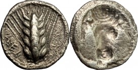 Southern Lucania, Metapontum. AR Triobol, c. 470-440 BC