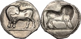 Southern Lucania, Sybaris. AR Stater, c. 550-510 BC
