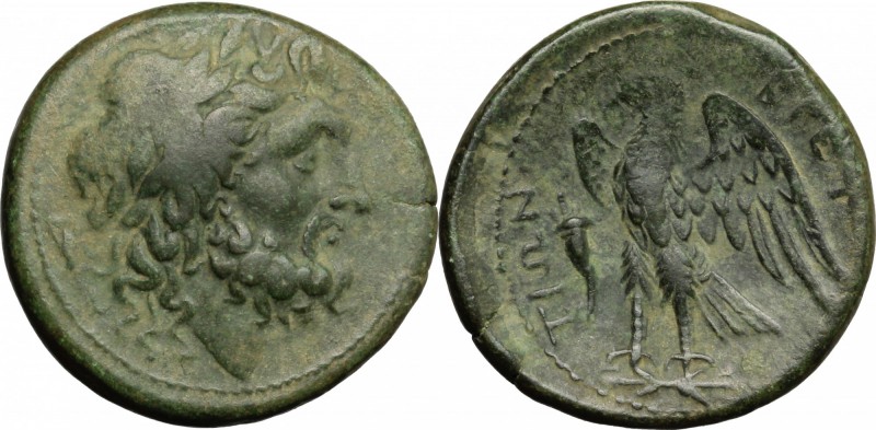 Greek Italy. Bruttium, Brettii. AE Unit-Drachm, c. 216-214 BC. D/ Laureate head ...