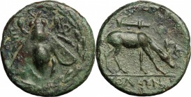 Ionia, Ephesos. AE 16 mm. c. 280-258 BC. Solon, magistrate