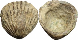 Aes Premonetale.. AE Cockle-shell, 5th-4th centuries BC