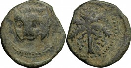 Messina.  Guglielmo II (1166-1189). Follaro con testa di leone