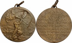 Medaglia I Armata, Trentino per la prima guerra mondiale