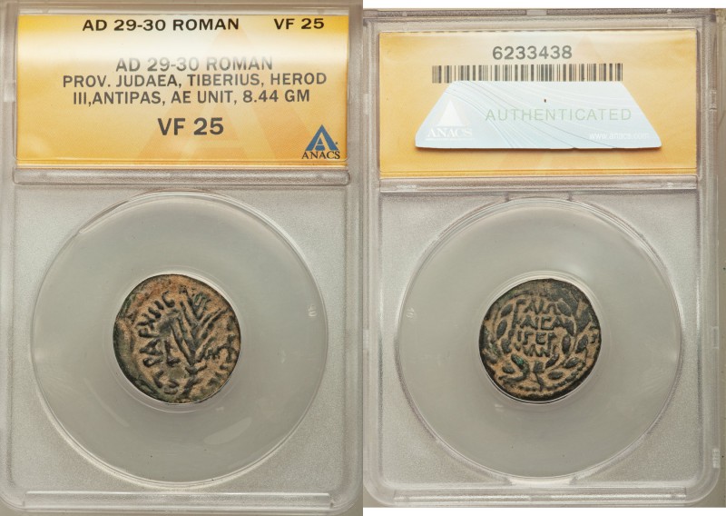 JUDAEA. Herodians. Herod III Antipas (4 BC-AD 39). AE half denomination (20mm, 8...