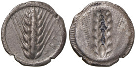 LUCANIA Metaponto - Statere (circa 510-470 a.C.) Spiga di grano - R/ Spiga di grano in incuso - Noe Class IX, 180. HN Italy 1482 AG (g 7,81 - Ø 23 mm)...