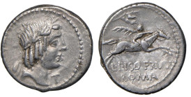 Calpurnia - L. Calpurnius Piso Frugi - Denario (90 a.C.) Testa di Apollo a d. - R/ Cavaliere al galoppo a d. con ramo di palma - B. 11; Cr. 340/1 AG (...