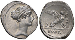 Carisia - T. Carisius - Denario (46 a.C.) Testa della Sibilla a d. - R/ Sfinge stante a d. - B. 11; Cr. 464/1 AG (g 3,87) Bellissimo esemplare per que...