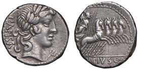 Vibia - C. Vibius C. f. Pansa - Denario (90 a.C.) Testa di Apollo a d. - R/ Pallade su quadriga a d. - B. 2; Cr. 342/5 AG (g 3,80)

Status: BB+