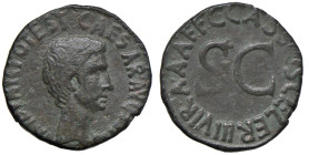 Augusto (27 a.C.-14 d.C.) Asse - Testa a d. - R/ SC nel campo - RIC 376 AE (g 10,63)

Status: BB+