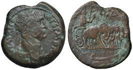 Traiano (98-117) Dracma di Alessandria in Egitto anno 14 - Testa laureata a d. - R/ Quadriga di elefanti a d. - Emmett 462 AE (g 22,31)

Status: BB