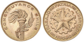 CILE Medaglia s.d. (1975) Construyamos Chile - AU (g 10,16 - 25 mm)

Status: FDC