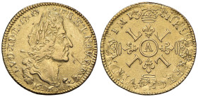FRANCIA Luigi XIV (1643-1715) Luigi 1691 (?) - KM 302; Gad. 252 AU (g 6,68) Evidenti segni da ribattitura. Da montatura

Status: BB-SPL