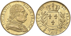 FRANCIA Luigi XVIII (1814-1824) 20 Franchi 1815 R - KM 707 AU (g 6,44) Minimi segnetti al D/. Difetto di tondello al R/. Nel 1815, Luigi XVIII fuggì a...