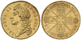 INGHILTERRA Giacomo II (1685-1688) 5 Guineas 1686 - Fr. 296; S. 3396 AU (g 41,80) Colpi ripresi. Graffi al D/. Leggermente lucidata. Bella patina

S...