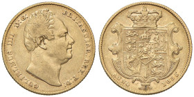 INGHILTERRA Guglielmo IV (1830-1837) Sterlina 1835 - Fr. 383 AU (g 7,88)

Status: BB