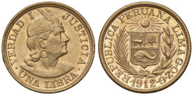 PERU Libra 1906 - KM 207; Fr. 73 AU (g 8,00) Graffietti al R/

Status: qFDC/SPL