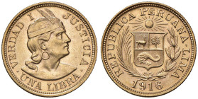 PERU Libra 1916 - KM 207; Fr. 73 AU (g 8,00)

Status: qFDC