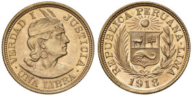 PERU Libra 1918 - KM 207; Fr. 73 AU (g 8,00)

Status: qFDC/FDC