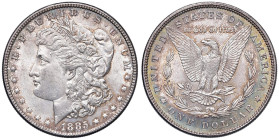 USA Dollaro 1885 - KM 110 AG (g 26,72) Bellissima patina iridiscente

Status: FDC