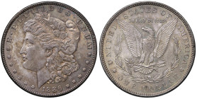 USA Dollaro 1886 - KM 110 AG (g 26,69) Esemplare con una patina eccezionale

Status: qFDC/FDC