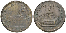 Medaglia 1802 Pace di Amiens. D/ OMNIBUS NON SIBI. Fontana con scritta nella parte frontale: EISENBERG In basso REICH - R/ come in Bramsen 163 R/ ma n...