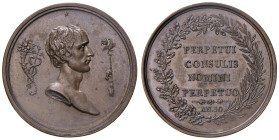 Medaglia 1802 Napoleone primo console a vita. D/ Anepigrafe. Busto di Napoleone a dx tra cornucopia e caduceo e mazza sovrastata da gallo. Sotto la tr...