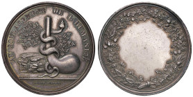 Medaglia 1803 Scuola di Farmacia di Parigi. D/ Circolarmente: AU SOULAGEMENT DE L’HUMANITÉ Il serpente di Esculapio attorcigliato attorno al corno del...