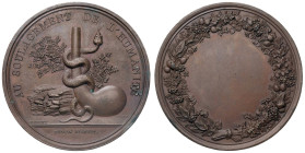 Medaglia 1803 Scuola di Farmacia di Parigi. D/ Circolarmente: AU SOULAGEMENT DE L’HUMANITÉ Il serpente di Esculapio attorcigliato attorno al corno del...