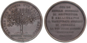 Medaglia 1803 Scuola di Ferrara. Medaglia premio. D/ Circolarmente: MENTRE CHE SPUNTA L’UN L’ALTRO MATURA. Albero con frutti nel campo. Nell’esergo: R...