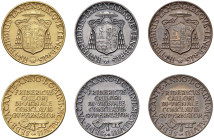 Sede Vacante (1963) Medaglie 1963 trittico Sede Vacante del Governatore del Conclave Federico Callori - AU (g 22,20 - 32 mm) Marcata 750; AG (g 13,99 ...