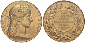 FRANCIA Repubblica Medaglia 1895 Medaglia ricordo degli elettori e amici - Opus: Daniel Dupuis - AU (g 55,97 - Ø 42 mm) Al bordo: Cornucopia. In Slab ...