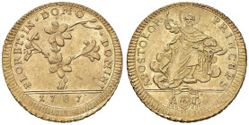 Pio VI (1775-1799) Doppia 1787 - Nomisma 13 AU (g 5,46)

Status: SPL