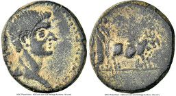 TROAS. Alexandria. Augustus (27 BC-AD 14). AE (17mm, 3.80 gm, 11h). NGC Choice VF 4/5 - 3/5, repatinated. AVG, bare head of Augustus right / Two pries...