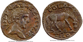TROAS. Alexandria. Gallienus (AD 253-268). AE (21mm, 4.48 gm, 2h). NGC MS 5/5 - 3/5, adjusted flan. IMP GALLIENVS A, laureate head right / COL AVG, ho...