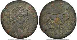 IONIA. Ephesus. Septimius Severus (AD 193-211). AE (21mm, 6.51 gm, 7h). NGC VF 5/5 - 3/5. ΑΥ Κ Λ ϹΕ-ϹΕΟΥΗΡΟϹ Π, laureate head of Septimius Severus rig...