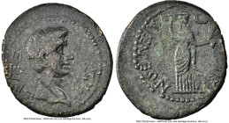 LYDIA. Tralles. Augustus (27 BC-AD 14). AE (20mm, 5.67 gm, 12h). NGC VF 5/5 - 3/5, edge marks. Ca. 2 BC (?). ΣΕΒΑΣ-ΤΟΣ, bare head of Augustus right; l...