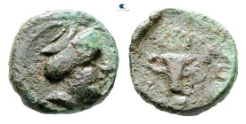Kings of Thrace. Odrysian, uncertain king 405-340 BC. Bronze Æ