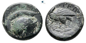 Akarnania. Thyrrheion circa 300-250 BC. Bronze Æ