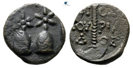 Colchis.  circa 100-1 BC. Bronze Æ
