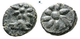 Pontos. Amisos. Time of Mithradates VI Eupator 120-63 BC. Bronze Æ