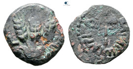 Judaea. Herodians. Agrippa I AD 37-43. Prutah Æ