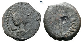 Judaea. Herodians. Agrippa I AD 37-43. Prutah Æ