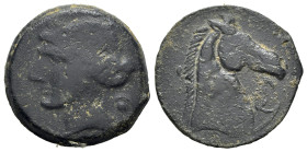 Carthaginian Domain, Sardinia, c. 264-241 BC. Æ Dishekel (27mm, 14.48g, 6h). Wreathed head of Kore-Tanit l.; star and crescent behind. R/ Head of hors...
