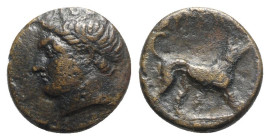Akarnania, Argos Amphilochikon, 330-300 BC. Æ (18mm, 4.82g, 6h). Young male head l. R/ ΑΡΓΕΙΩΝ, Dog standing r. BMC 172, 5. VF