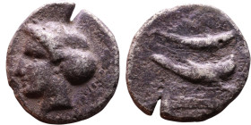 Greek Silver coin. (IV-I century BC)

17mm 5,43g