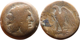 Ptolemaic Kings Of Egypt. (3-1 century BC). Bronze. Obverse: Head of Zeus. Reverse: Eagle on Thunderbolt

27mm 16,15g