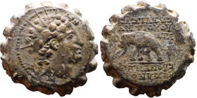 Antiochos VI Dionysos (Seleukid King: 145-141 BC). AE bronze. Obv.: radiate and wreathed head r. Rev.: elephant standing l., holding torch with trunk;...